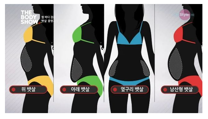 남자들이 싫어하는 여자 유형별 뱃살 | 인스티즈