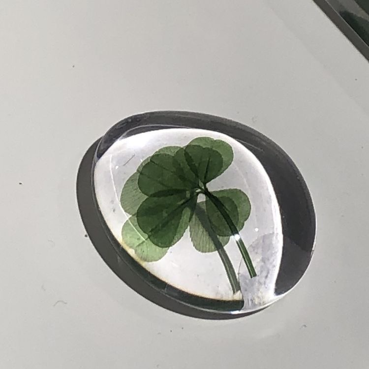 행운 무료 나눔 ➿ 🍀 (행복은 덤 . . ☘️) | 인스티즈