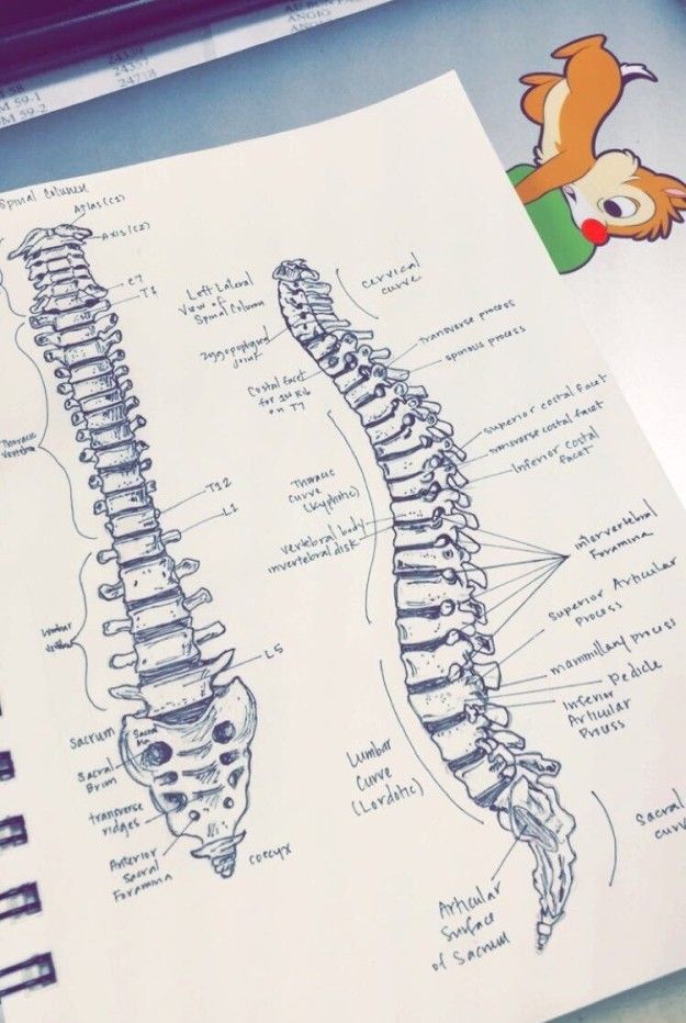 노트 필기 잘하는 사람 부럽다 | 인스티즈