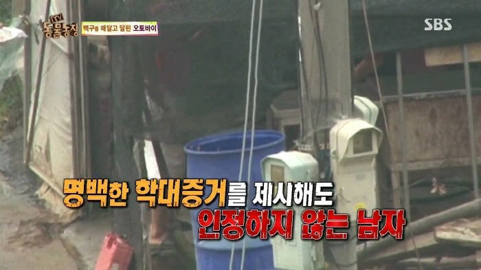 [TV동물농장] 동물농장에서 방송된 인천의 한 개 도축장의 현실.jpg | 인스티즈