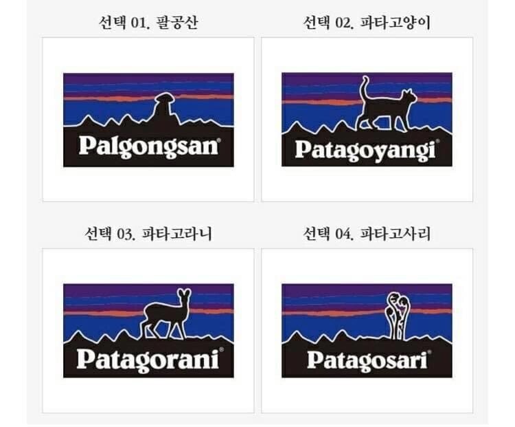 파타고니아 사장님이 보면 빡칠만한 가짜 ㅋㅋㅋ.jpg | 인스티즈