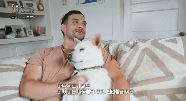 사랑받는 진돗개 보면서 힐링하고 싶은 사람??? | 인스티즈