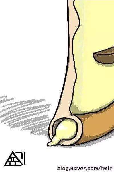 치즈크러스트가 만들어지는 과정 | 인스티즈