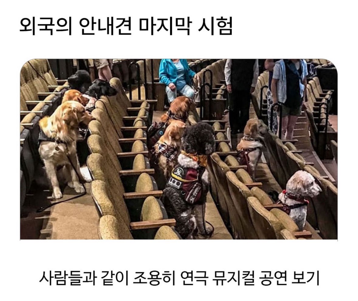 수달은 새끼를 낳으면 이곳저곳 돌아다니며 자랑하는 습성이 있습니다 | 인스티즈