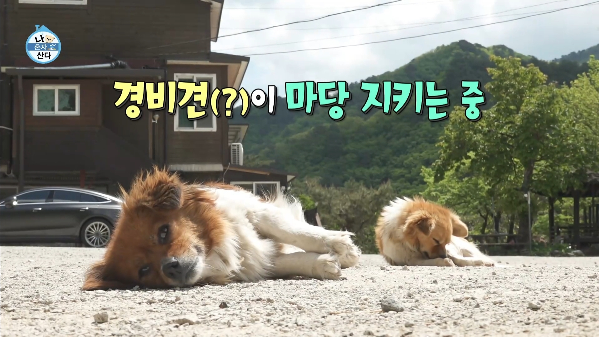 [나혼자산다] 10년 넘게 단골이라는 강원도 능이백숙집 찾아간 샤이니 키 | 인스티즈