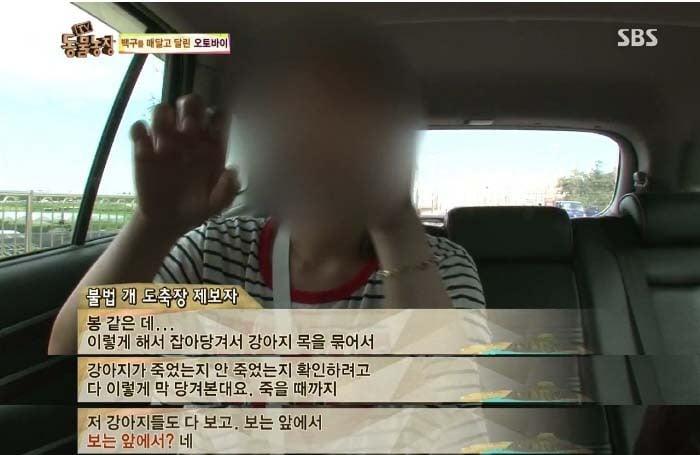 [TV동물농장] 동물농장에서 방송된 인천의 한 개 도축장의 현실.jpg | 인스티즈
