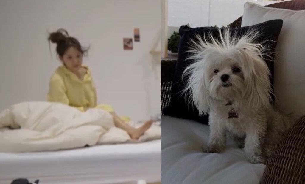 환승연애2 의외의 웃수저 담당.jpg | 인스티즈