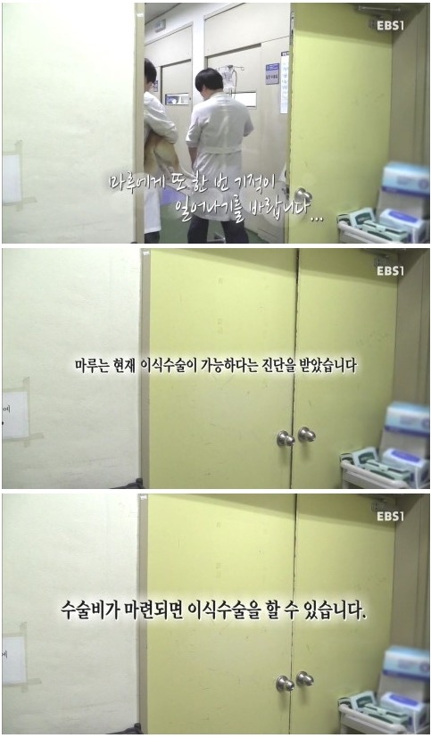[세상에나쁜개는없다] 애견훈련소 갔다가 얼굴을 잃어버린 마루 (감동이쟈나ㅠㅠ) | 인스티즈