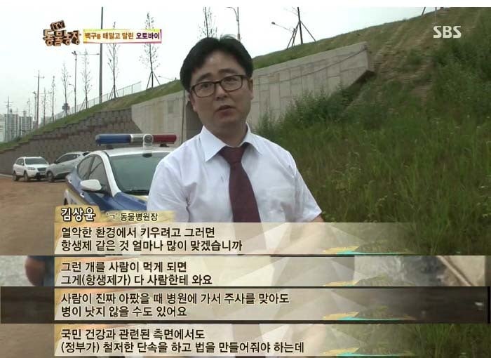 [TV동물농장] 동물농장에서 방송된 인천의 한 개 도축장의 현실.jpg | 인스티즈