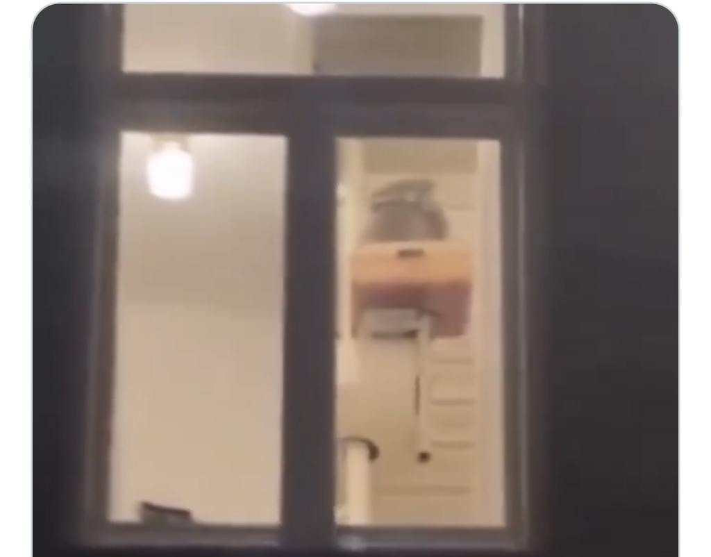 밤마다 이웃집 훔쳐보는 이유 | 인스티즈