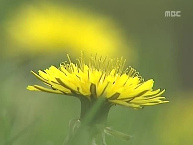 [거침없이하이킥] 봄바람 난 문희 | 인스티즈