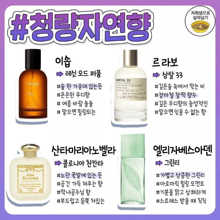 향기 종류별 여름 향수.jpg | 인스티즈