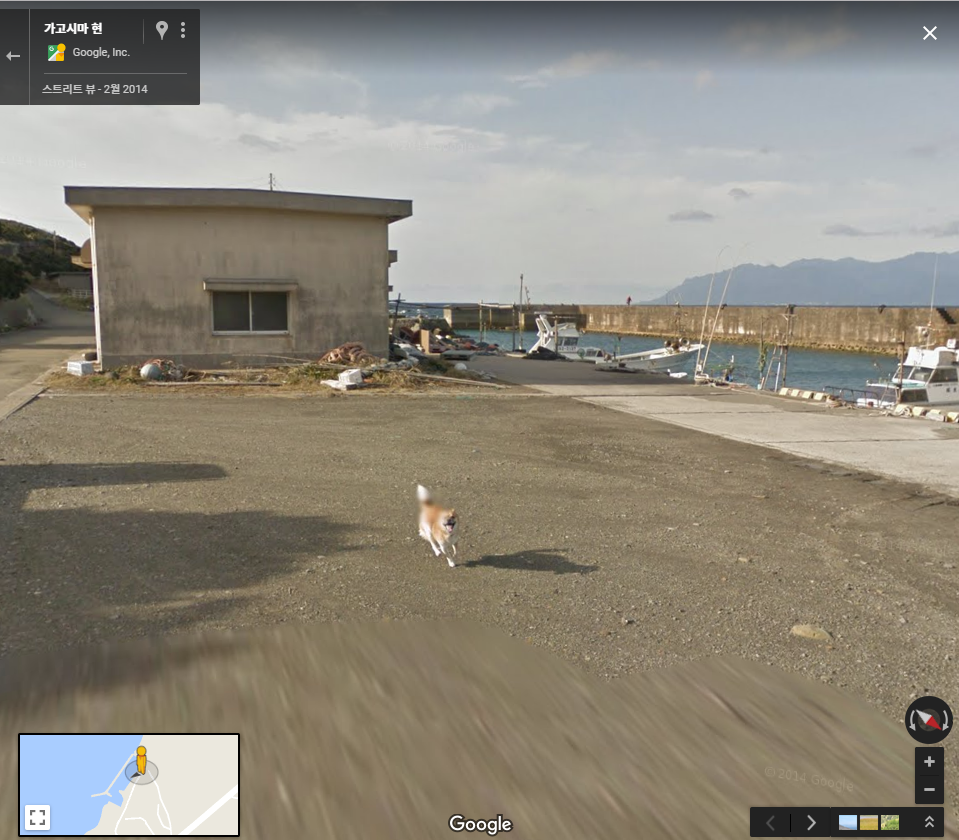 구글맵 스트리트뷰에 찍힌 댕댕이 | 인스티즈