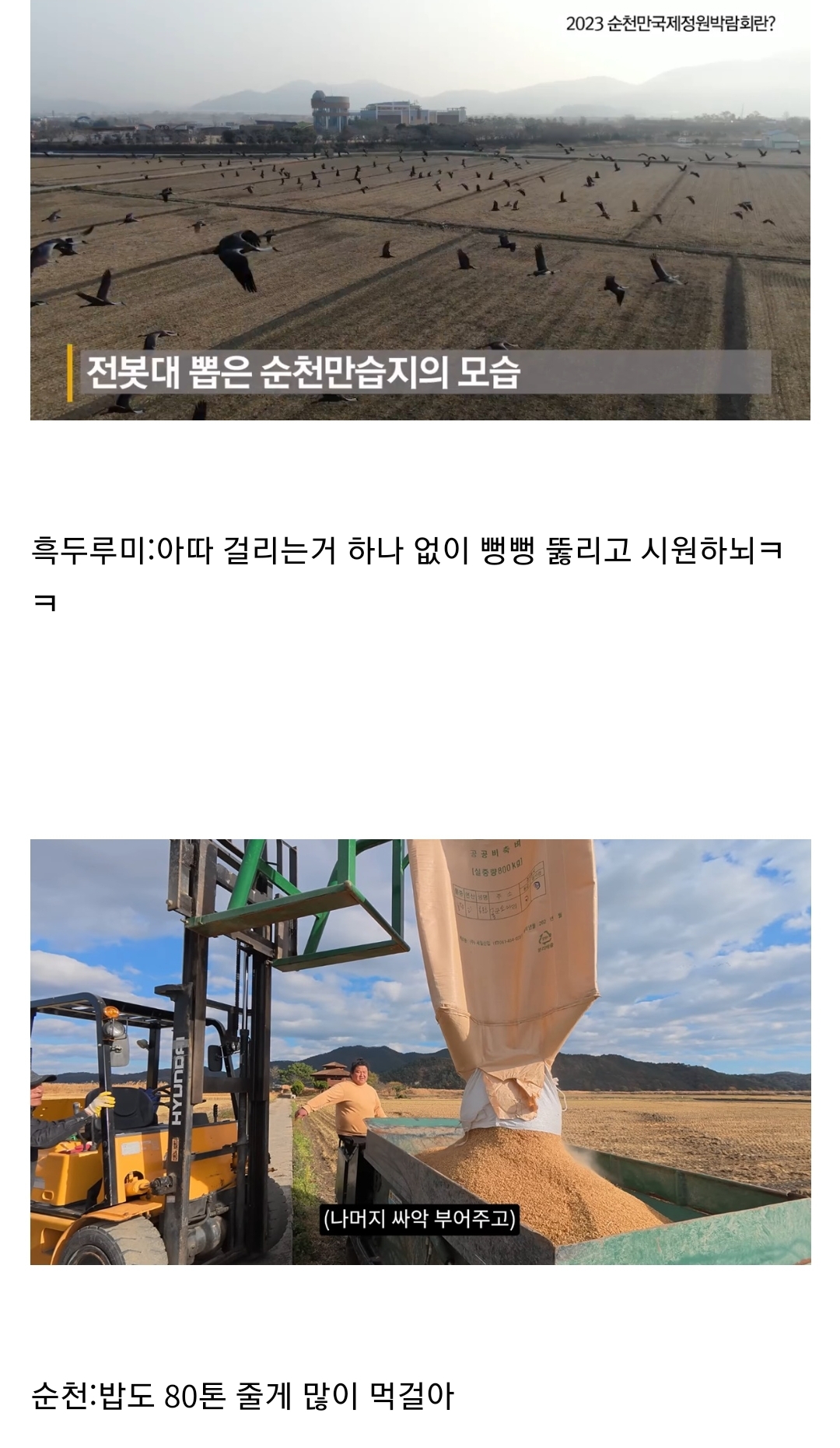 좋은 일을 해서 축복 받은 듯한 도시.jpg | 인스티즈