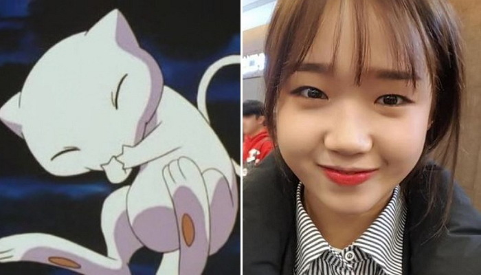 포켓몬 닮은 연예인 14명 | 인스티즈