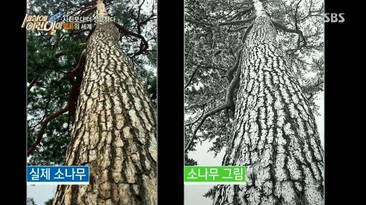 세상에 이런일이 73세 펜화그리는 할아버지 | 인스티즈