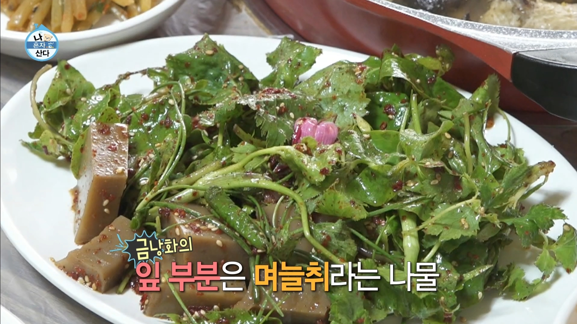 [나혼자산다] 10년 넘게 단골이라는 강원도 능이백숙집 찾아간 샤이니 키 | 인스티즈