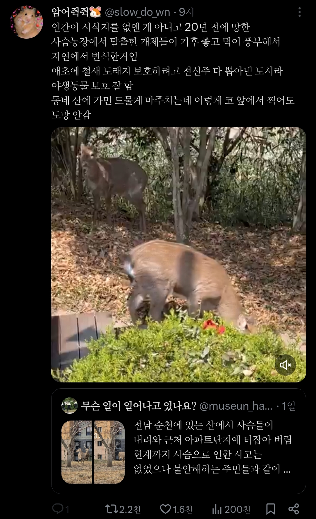 좋은 일을 해서 축복 받은 듯한 도시.jpg | 인스티즈