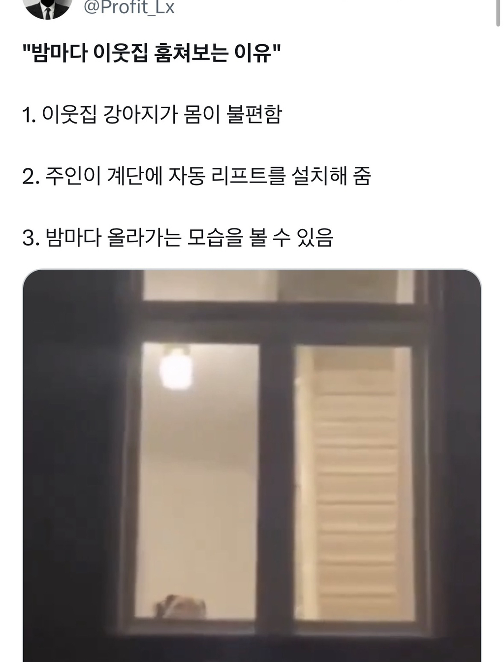 밤마다 이웃집 훔쳐보는 이유 | 인스티즈