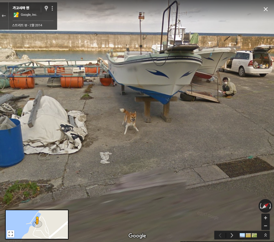 구글맵 스트리트뷰에 찍힌 댕댕이 | 인스티즈