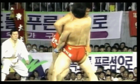 연예계 근육돼지들.JPGIF | 인스티즈