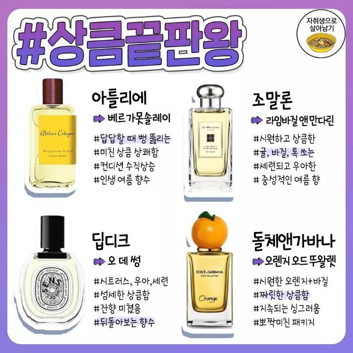 향기 종류별 여름 향수.jpg | 인스티즈