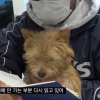 모친이란 단어 모른다고해서 난리난 트위터 | 인스티즈