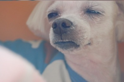 💥💥공공기관 성과급 파티 🙅🏻‍♀️🙅🏻‍♀️ | 인스티즈