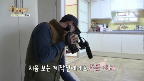 [세상에나쁜개는없다] 애견훈련소 갔다가 얼굴을 잃어버린 마루 (감동이쟈나ㅠㅠ) | 인스티즈