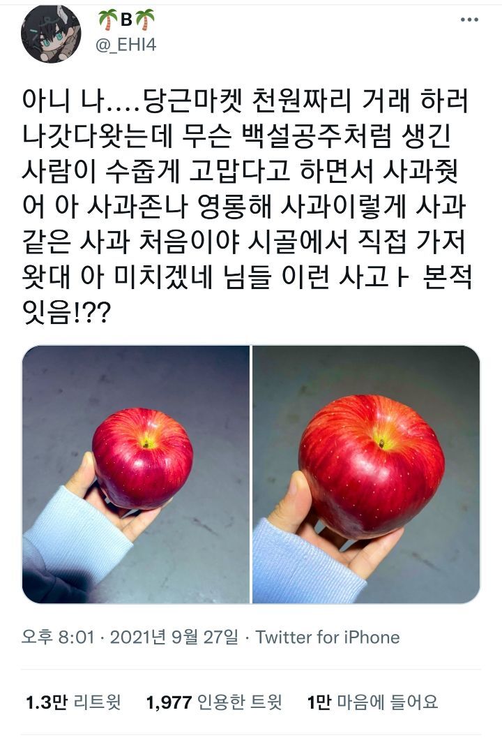 당근마켓 하고 받은 사과가 너무 이쁨.twt | 인스티즈