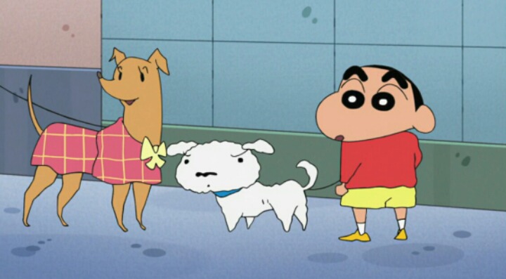 살찐 흰둥이의 다이어트 | 인스티즈