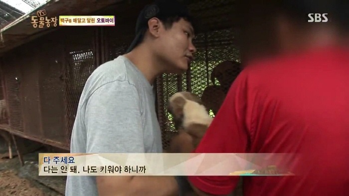 [TV동물농장] 동물농장에서 방송된 인천의 한 개 도축장의 현실.jpg | 인스티즈