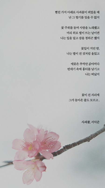 예쁜 시 구절이 적힌 폰배경화면 열한 번째.jpg | 인스티즈