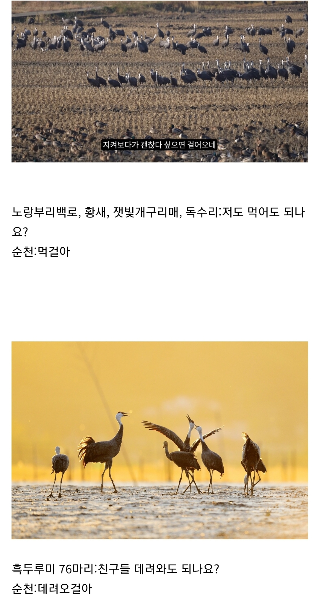 좋은 일을 해서 축복 받은 듯한 도시.jpg | 인스티즈