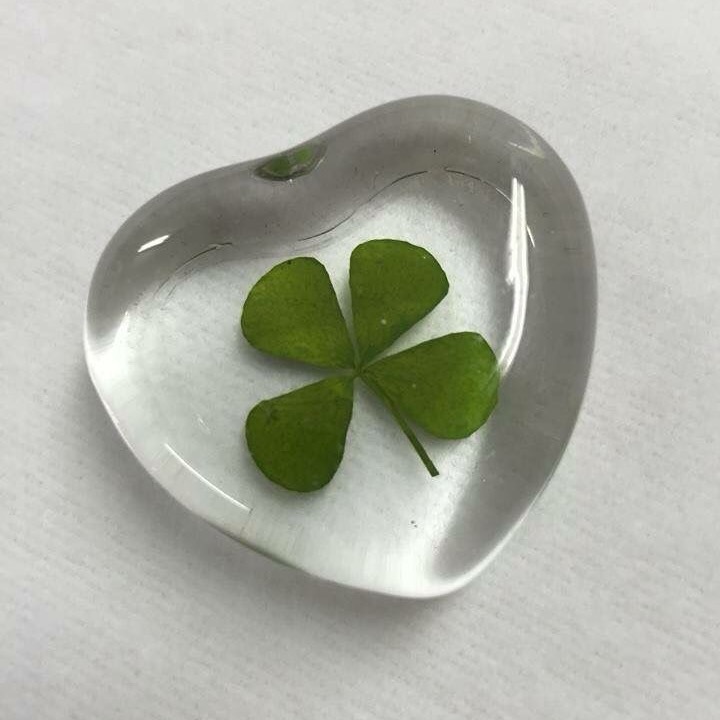 행운 무료 나눔 ➿ 🍀 (행복은 덤 . . ☘️) | 인스티즈