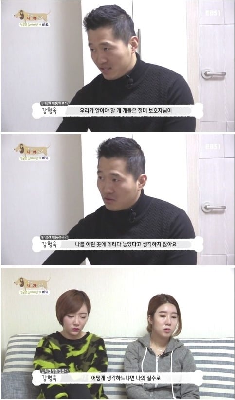 [세상에나쁜개는없다] 애견훈련소 갔다가 얼굴을 잃어버린 마루 (감동이쟈나ㅠㅠ) | 인스티즈