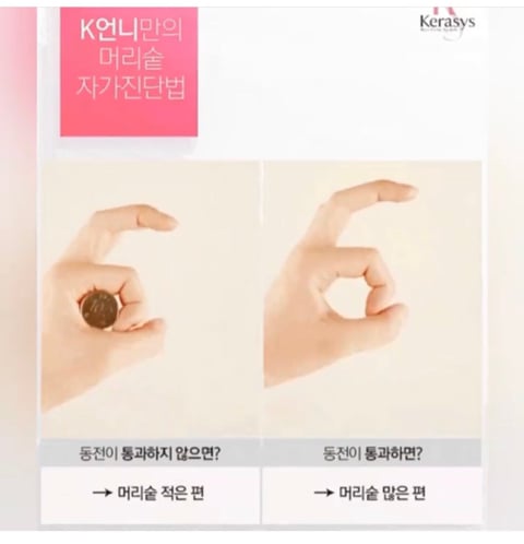 난 머리숱이 많은 편일까? 자가진단 TEST | 인스티즈