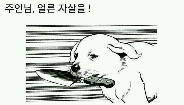 내 기분이 얼마나 족같은지 표현하기 좋은 짤들 | 인스티즈