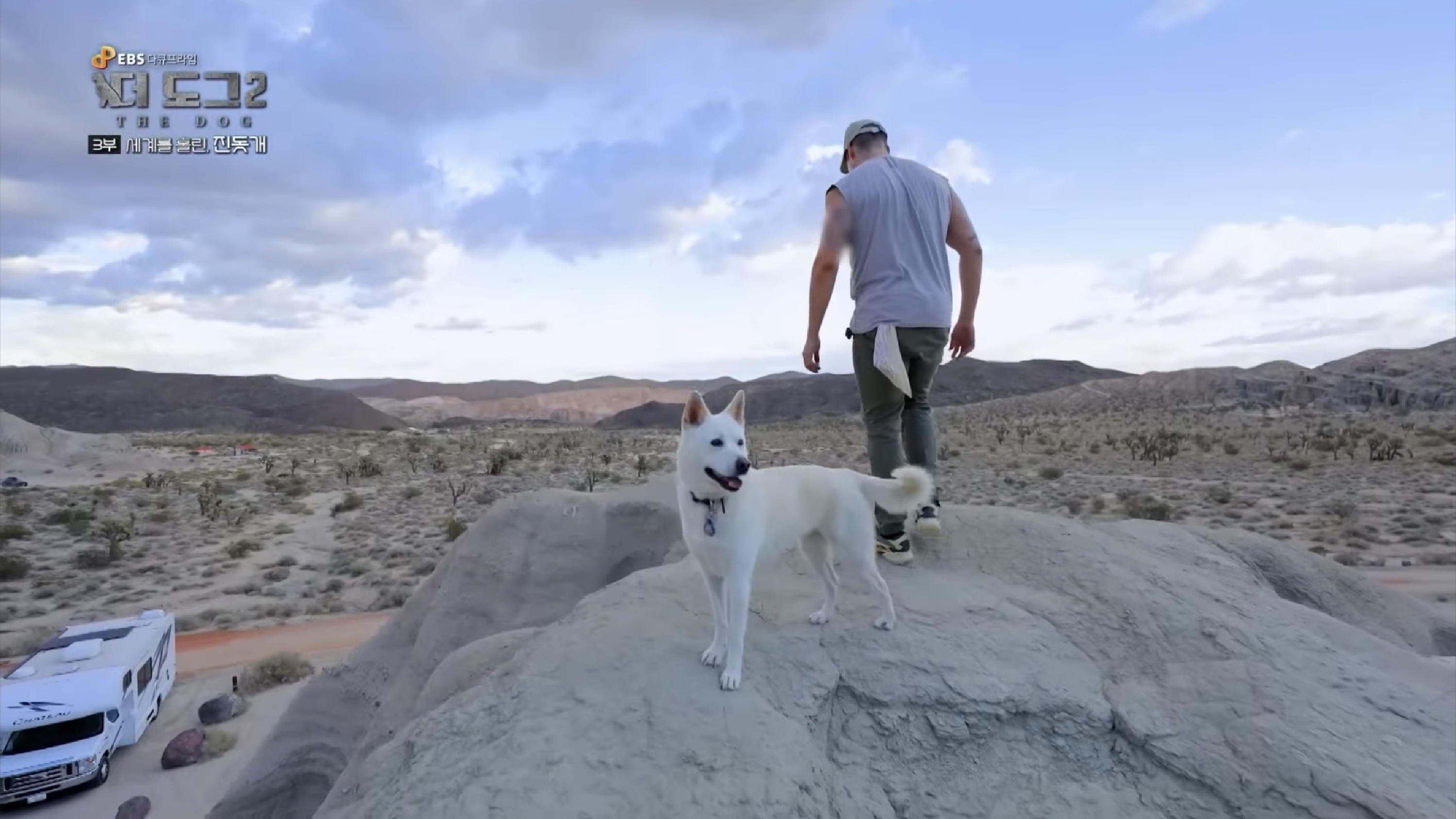 사랑받는 진돗개 보면서 힐링하고 싶은 사람??? | 인스티즈