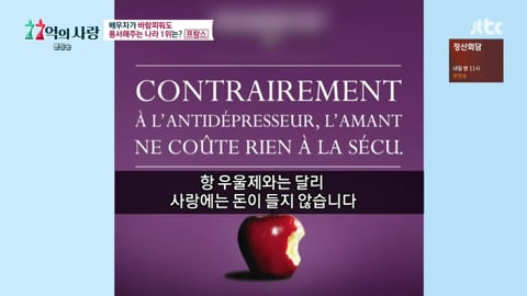프랑스인들이 바람 많이 피는 이유 | 인스티즈