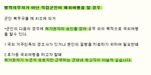 직업군인의 해외여행은 가능할까?.txt | 인스티즈