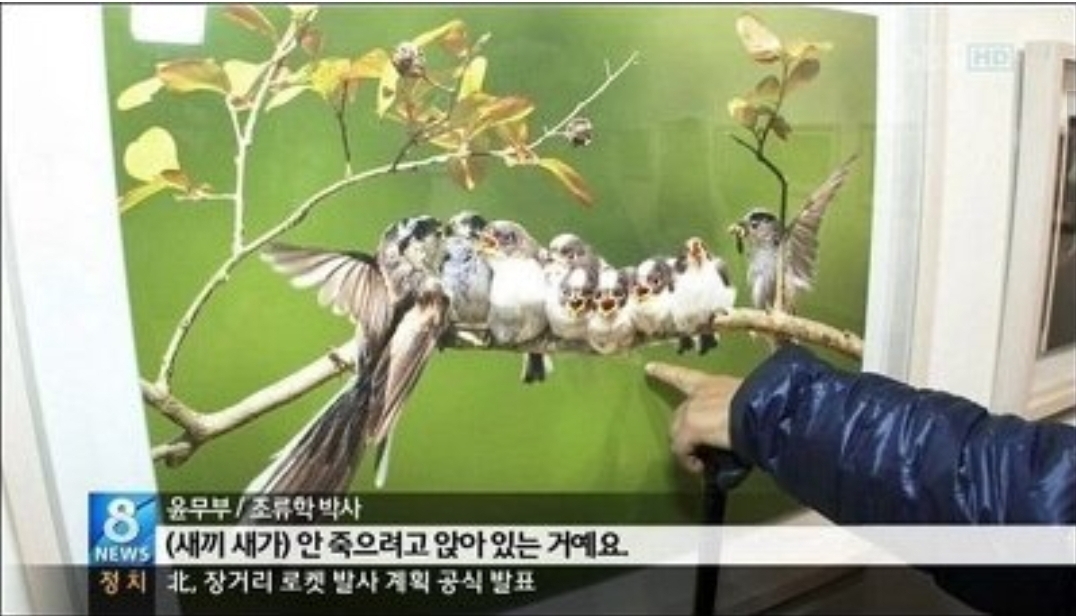 새 괴롭혀서 사진찍는 사진작가 | 인스티즈