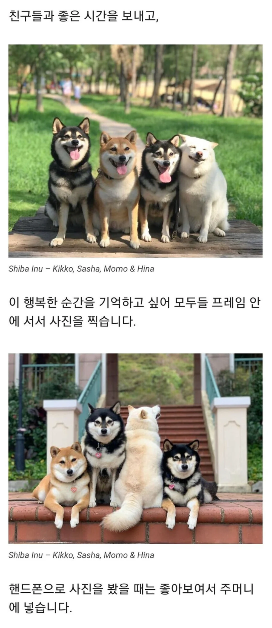 항상 단체 사진을 망치는 친구 | 인스티즈