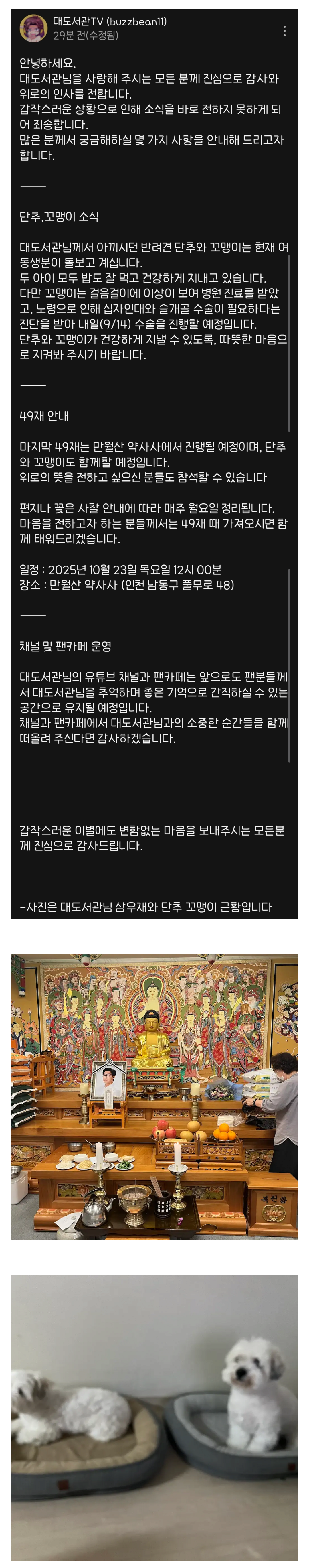 대도서관 사후 반려견 근황 | 인스티즈