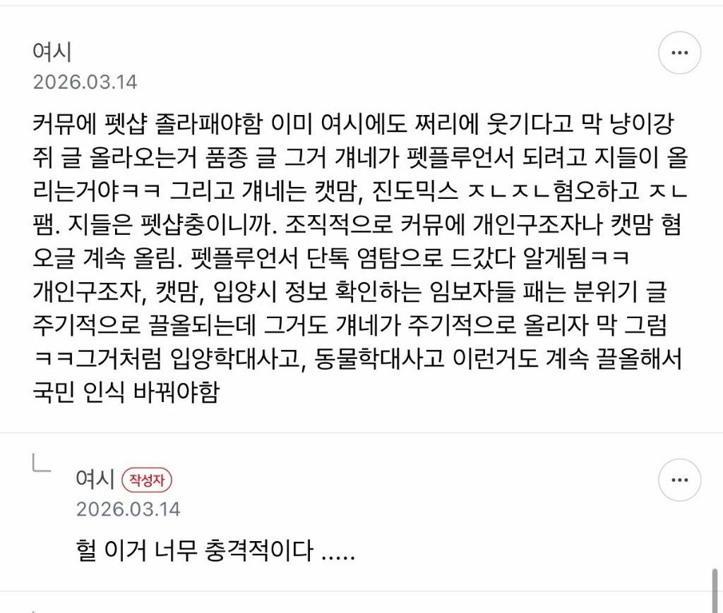 표독한 펫플루언서들이 캣맘혐오/진도혐오/구조자혐오 부추기는거임 (펫샵플루언서 소비하지말자) | 인스티즈