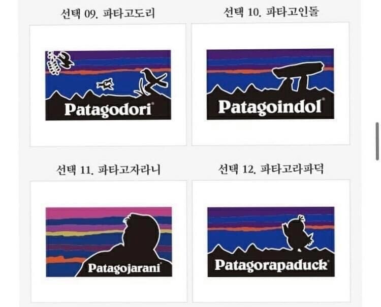 파타고니아 사장님이 보면 빡칠만한 가짜 ㅋㅋㅋ.jpg | 인스티즈