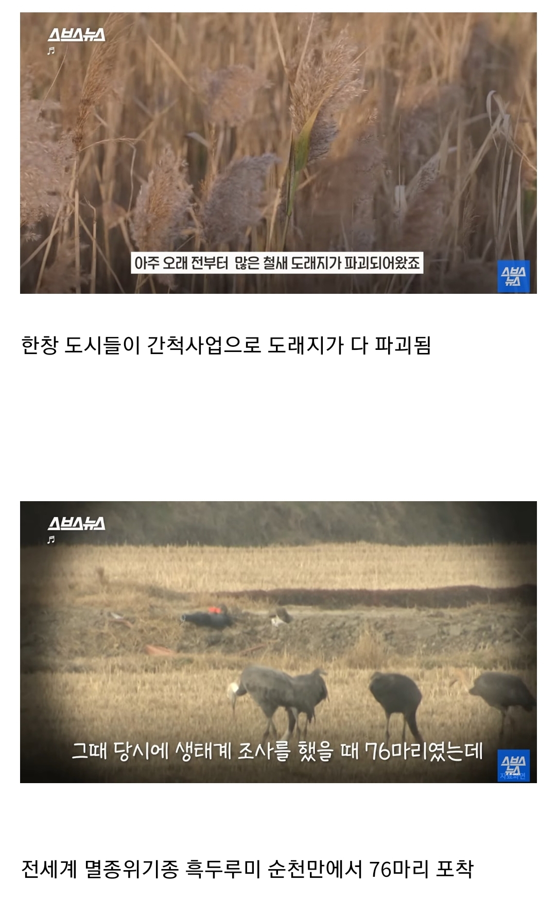 좋은 일을 해서 축복 받은 듯한 도시.jpg | 인스티즈