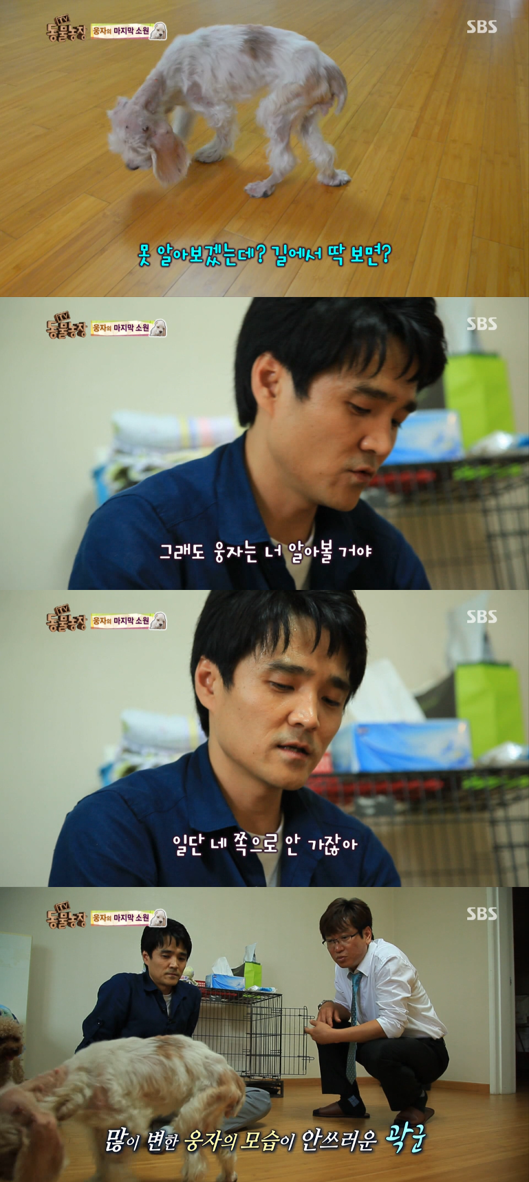 동물농장이 낳은 최고의 스타견 웅자 근황 | 인스티즈
