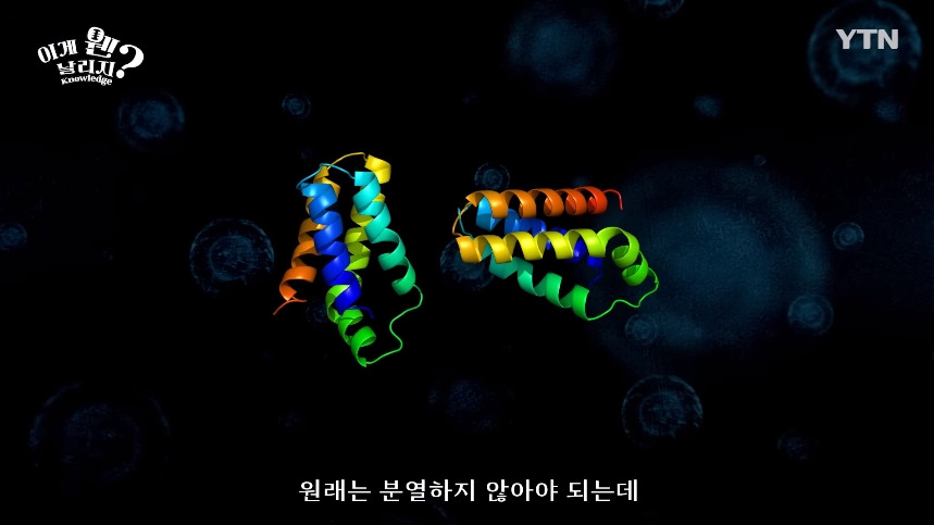 혈당 관리 안하면 빨리 늙는 이유.jpg | 인스티즈