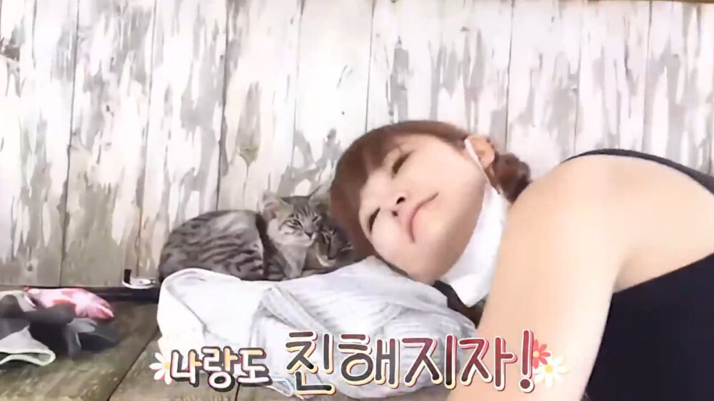 [스압주의] 일본인 캣맘 유튜버 1편 - 포크레인으로 마당 갈아엎음 | 인스티즈